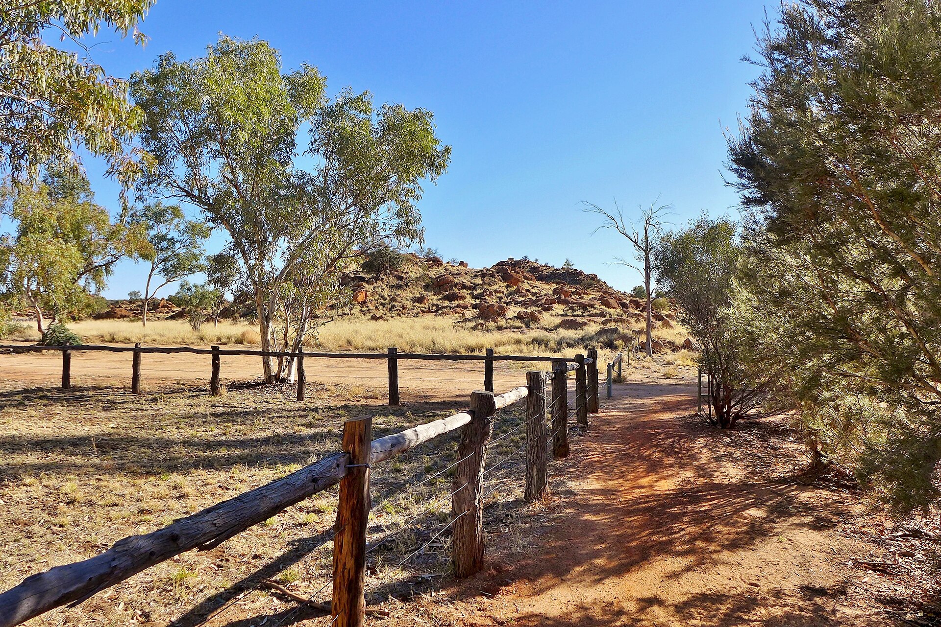 School trip inspiration for Alice Springs Desert Environments & Sustainability