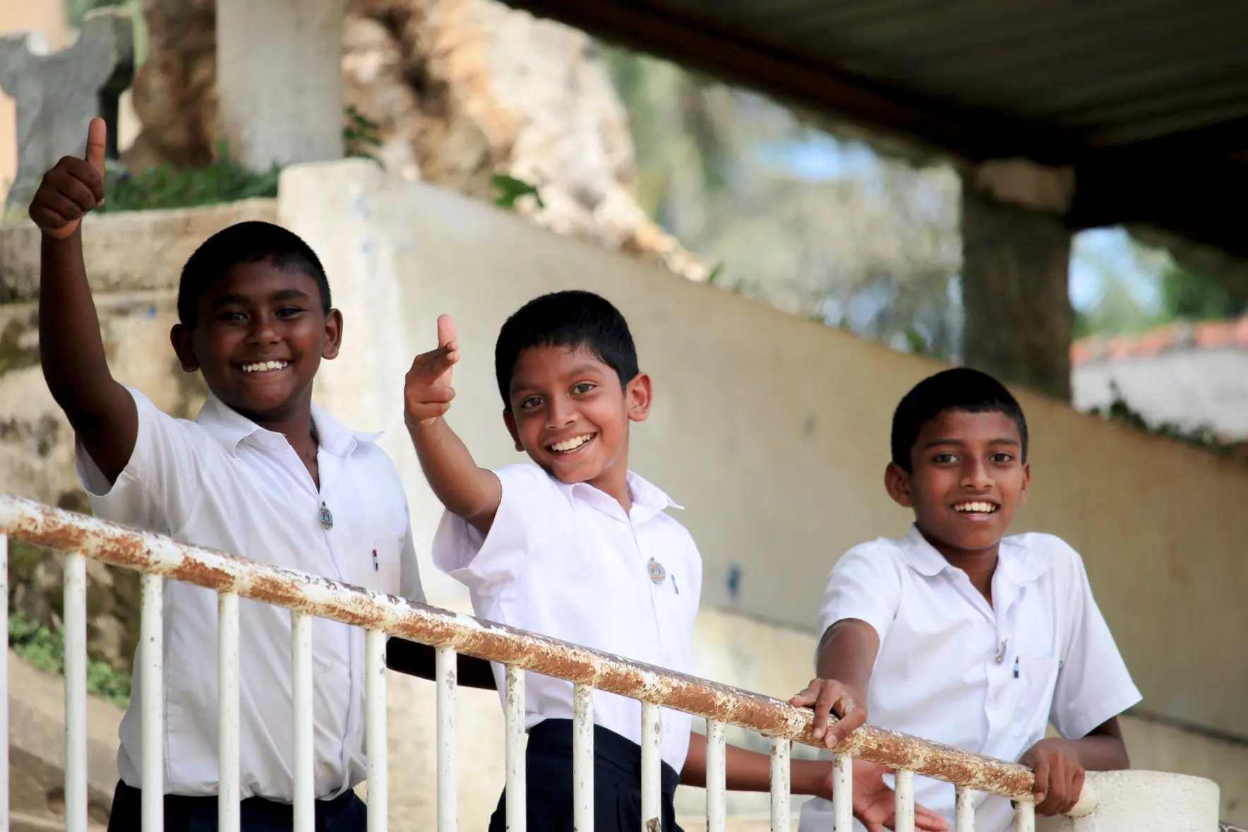 Provider-supplied photo for Sri Lanka Cricket Tour