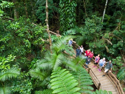 Provider-supplied photo for Far North Queensland Geography Tour